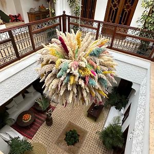 Riad Darino